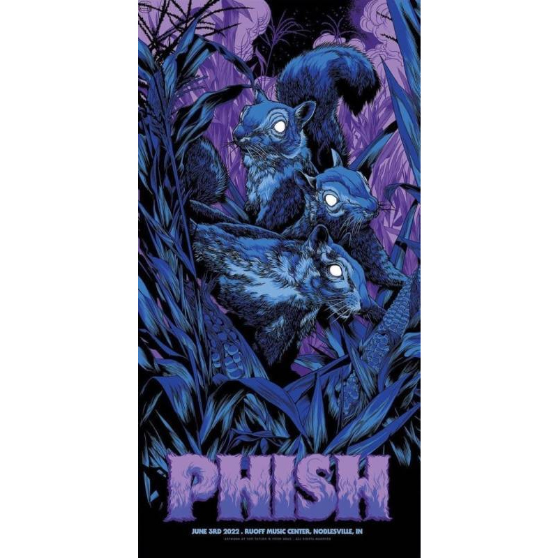 Phish Signed Poster - Deer Creek 2022 Night 1 - Taylor 108