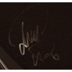 Phish Kick Drum Head (Nearly 2 feet in diameter!) - Signed by Band - Summer Tour 2015