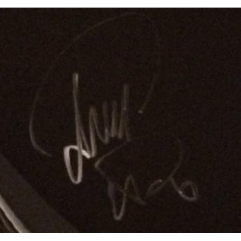 Phish Kick Drum Head (Nearly 2 feet in diameter!) - Signed by Band - Summer Tour 2015