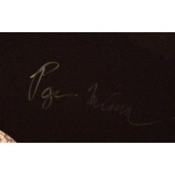 Phish Kick Drum Head (Nearly 2 feet in diameter!) - Signed by Band - Summer Tour 2015