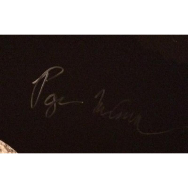 Phish Kick Drum Head (Nearly 2 feet in diameter!) - Signed by Band - Summer Tour 2015